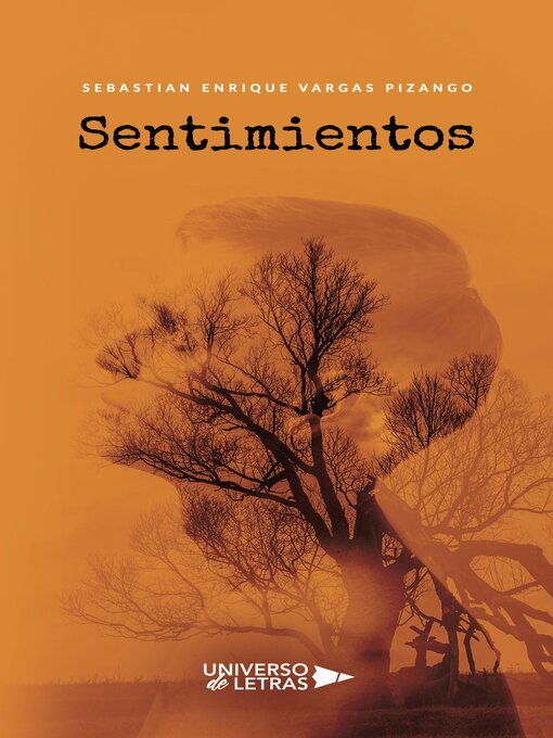Title details for Sentimientos by Sebastian Enrique Vargas Pizango - Available